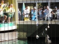 DSCN6276.jpg